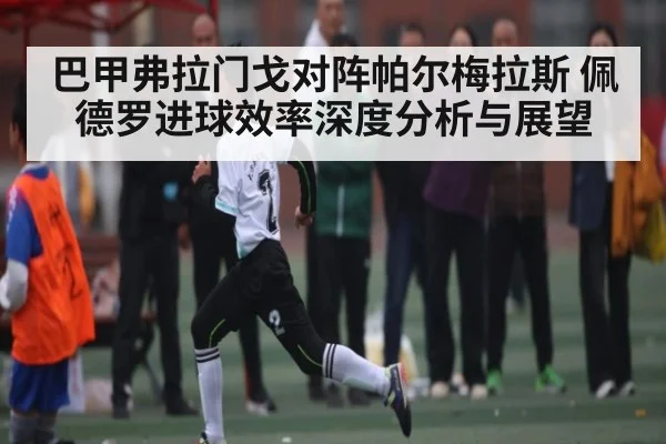 巴甲弗拉门戈对阵帕尔梅拉斯 佩德罗进球效率深度分析与展望 | MK Sports