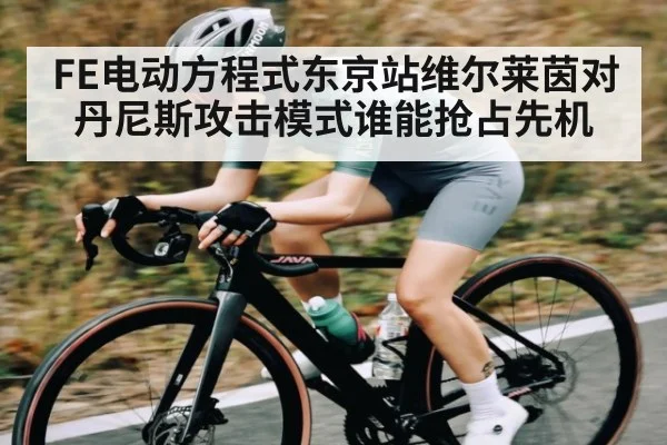 FE电动方程式东京站维尔莱茵对丹尼斯攻击模式谁能抢占先机 | MK Sports
